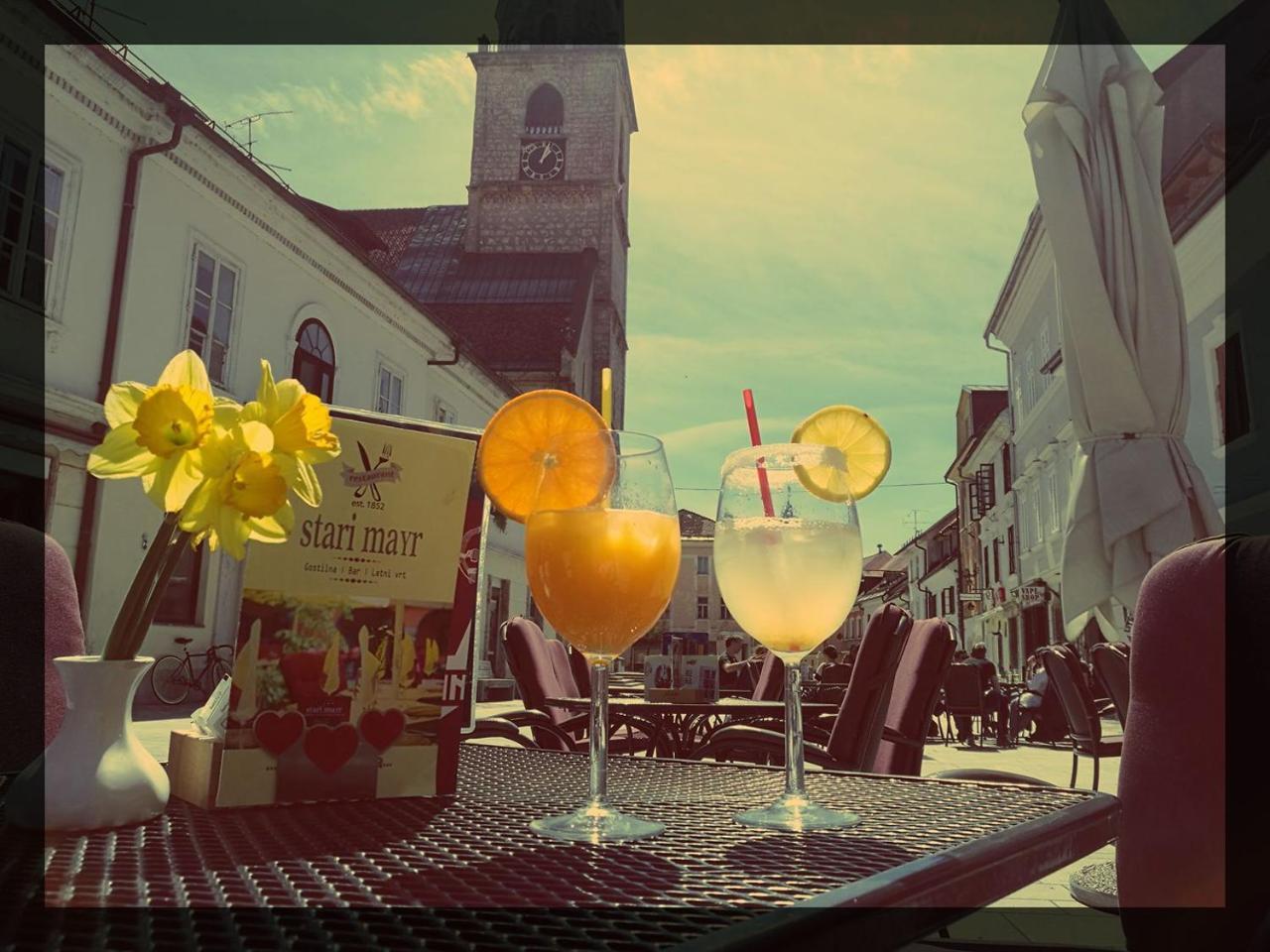 Guesthouse Stari Mayr Kranj Bagian luar foto